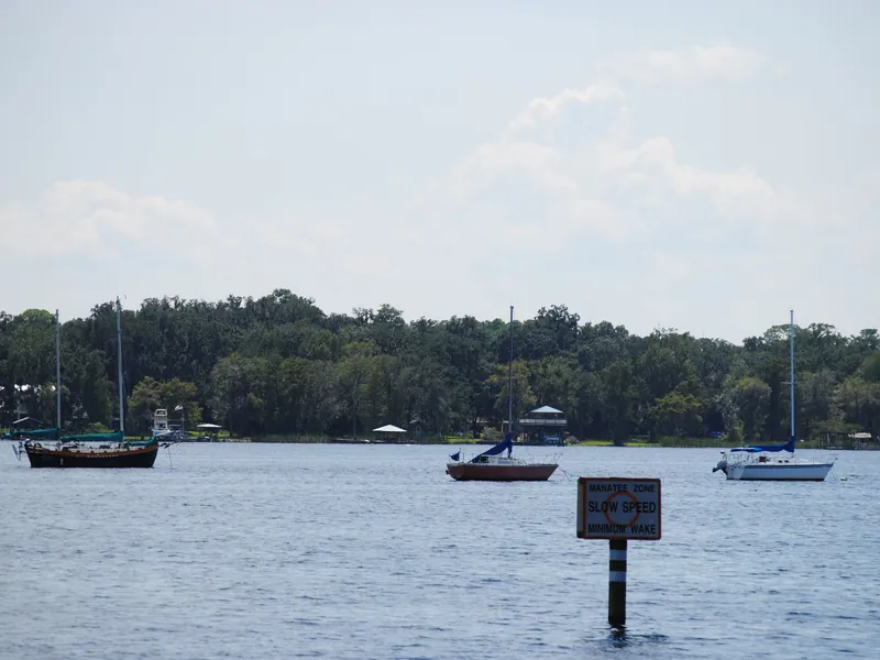 Mandarin, Jacksonville